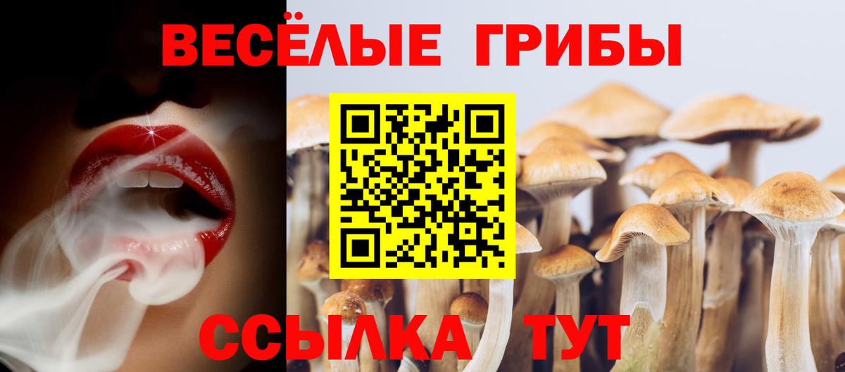 где можно купить   Галлюциногенные грибы ЛСД  Вход с VPN  Холмск  Псилоцибиновые грибы Psilocybine cubensis 
